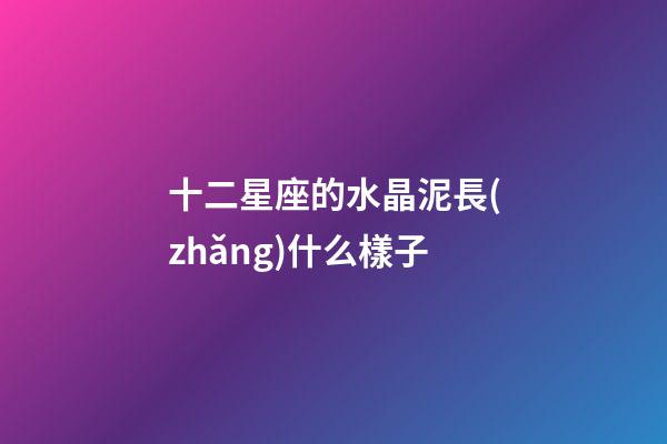 十二星座的水晶泥長(zhǎng)什么樣子-第1張-星座運(yùn)勢(shì)-玄機(jī)派