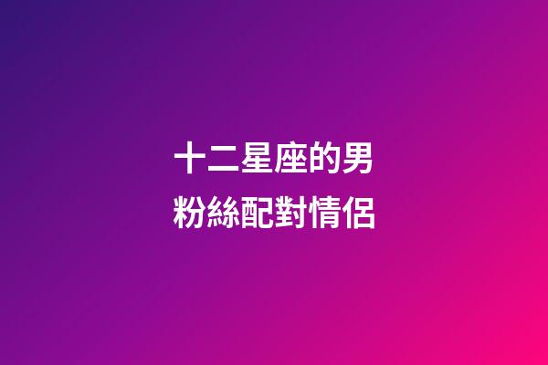 十二星座的男粉絲配對情侶-第1張-星座運勢-玄機派