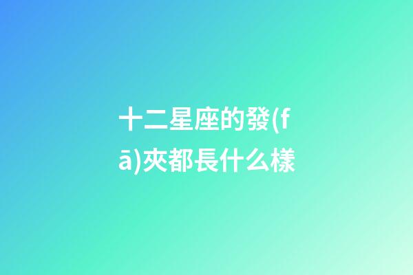 十二星座的發(fā)夾都長什么樣