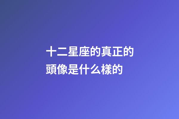 十二星座的真正的頭像是什么樣的-第1張-星座運勢-玄機派