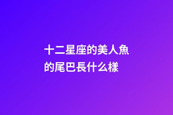 十二星座的美人魚的尾巴長什么樣-第1張-星座運勢-玄機派