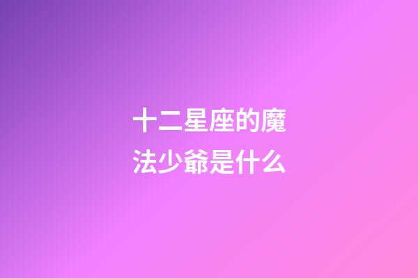 十二星座的魔法少爺是什么
