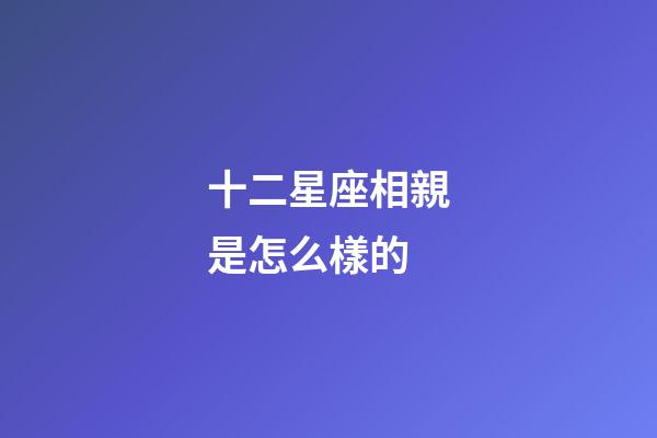 十二星座相親是怎么樣的-第1張-星座運勢-玄機派