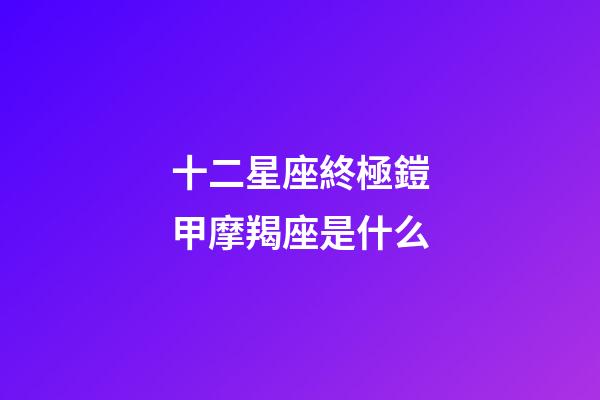 十二星座終極鎧甲摩羯座是什么