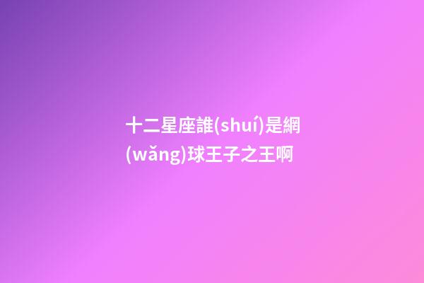 十二星座誰(shuí)是網(wǎng)球王子之王啊-第1張-星座運(yùn)勢(shì)-玄機(jī)派
