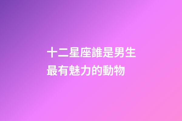 十二星座誰是男生最有魅力的動物-第1張-星座運勢-玄機派
