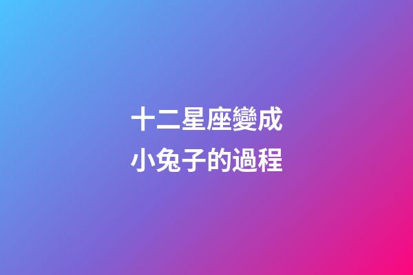 十二星座變成小兔子的過程