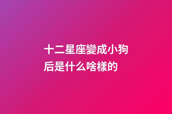 十二星座變成小狗后是什么啥樣的-第1張-星座運勢-玄機派