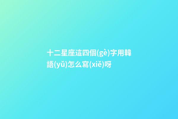 十二星座這四個(gè)字用韓語(yǔ)怎么寫(xiě)呀