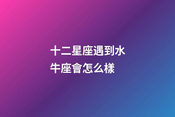 十二星座遇到水牛座會怎么樣