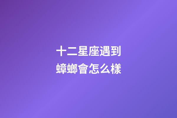 十二星座遇到蟑螂會怎么樣