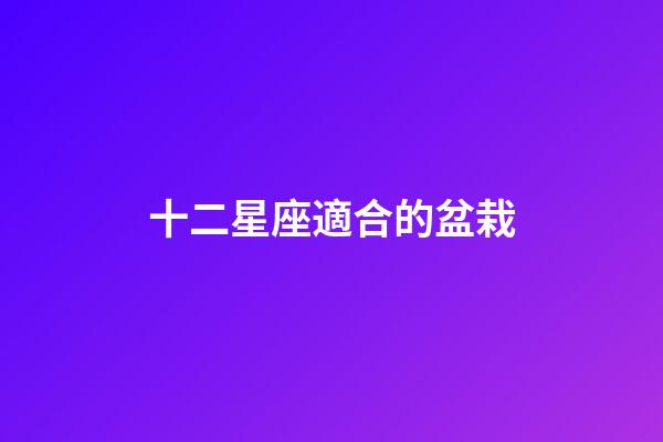 十二星座適合的盆栽-第1張-星座運勢-玄機派