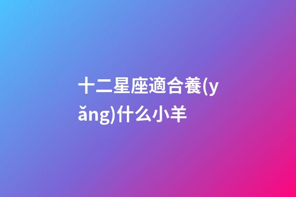 十二星座適合養(yǎng)什么小羊-第1張-星座運(yùn)勢(shì)-玄機(jī)派