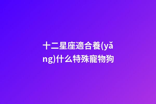 十二星座適合養(yǎng)什么特殊寵物狗-第1張-星座運(yùn)勢(shì)-玄機(jī)派