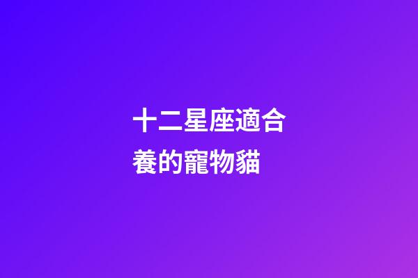 十二星座適合養的寵物貓-第1張-星座運勢-玄機派