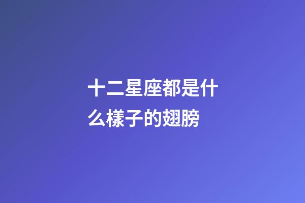 十二星座都是什么樣子的翅膀-第1張-星座運勢-玄機派