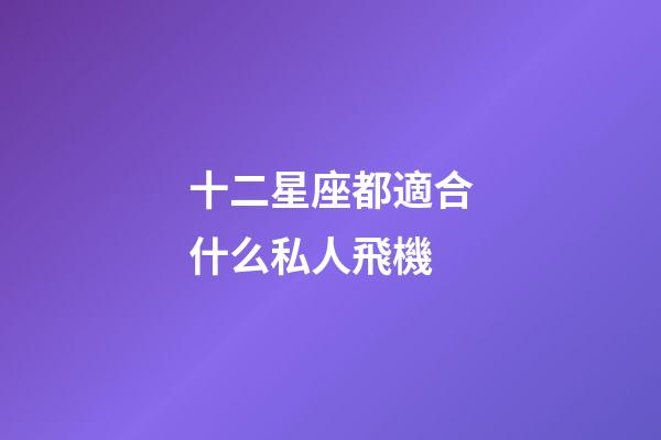 十二星座都適合什么私人飛機-第1張-星座運勢-玄機派