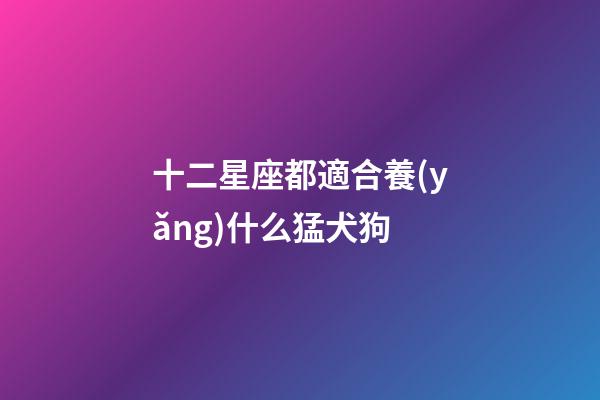 十二星座都適合養(yǎng)什么猛犬狗-第1張-星座運(yùn)勢-玄機(jī)派