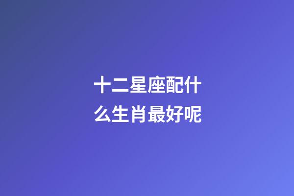十二星座配什么生肖最好呢-第1張-星座運勢-玄機派