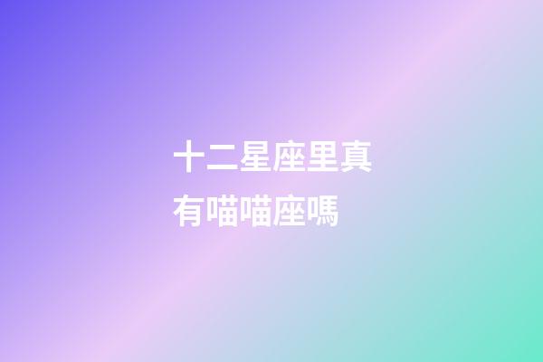 十二星座里真有喵喵座嗎-第1張-星座運勢-玄機派