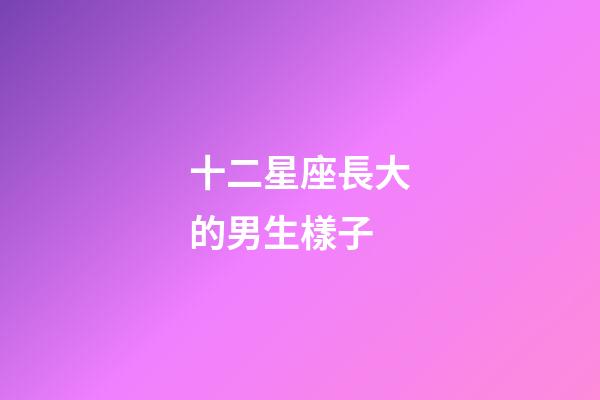 十二星座長大的男生樣子-第1張-星座運勢-玄機派