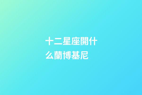 十二星座開什么蘭博基尼-第1張-星座運勢-玄機派