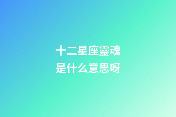 十二星座靈魂是什么意思呀-第1張-星座運勢-玄機派