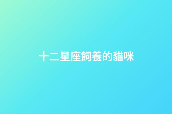 十二星座飼養的貓咪-第1張-星座運勢-玄機派