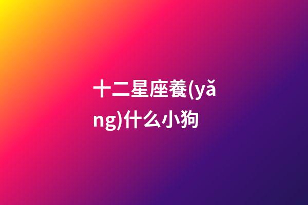 十二星座養(yǎng)什么小狗-第1張-星座運(yùn)勢(shì)-玄機(jī)派