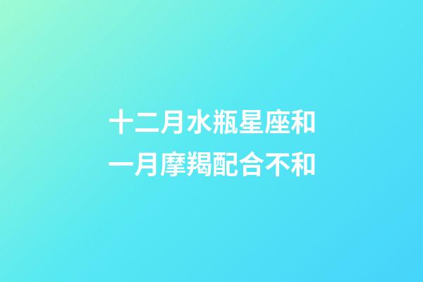 十二月水瓶星座和一月摩羯配合不和-第1張-星座運勢-玄機派