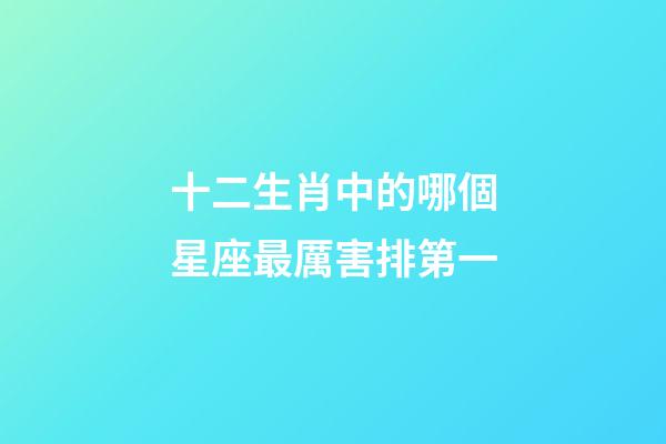 十二生肖中的哪個星座最厲害排第一-第1張-星座運勢-玄機派