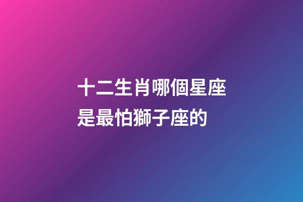 十二生肖哪個星座是最怕獅子座的-第1張-星座運勢-玄機派