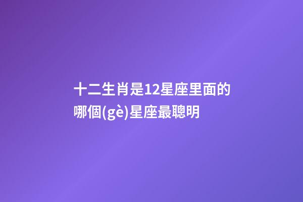 十二生肖是12星座里面的哪個(gè)星座最聰明-第1張-星座運(yùn)勢-玄機(jī)派