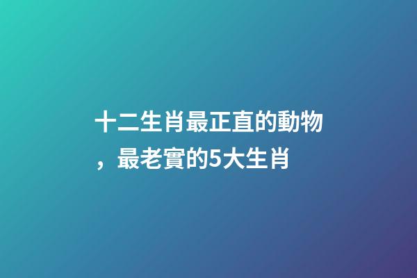 十二生肖最正直的動物，最老實的5大生肖-第1張-觀點-玄機派