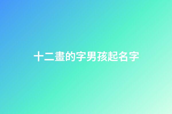十二畫的字男孩起名字(十二畫的字男孩起名字用字奇門遁甲)