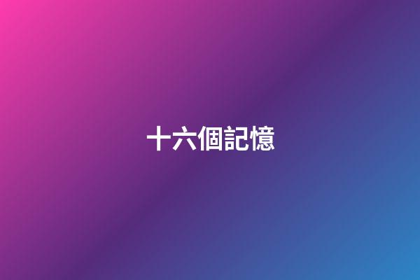 十六個記憶