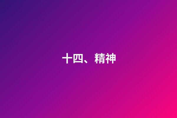 十四、精神