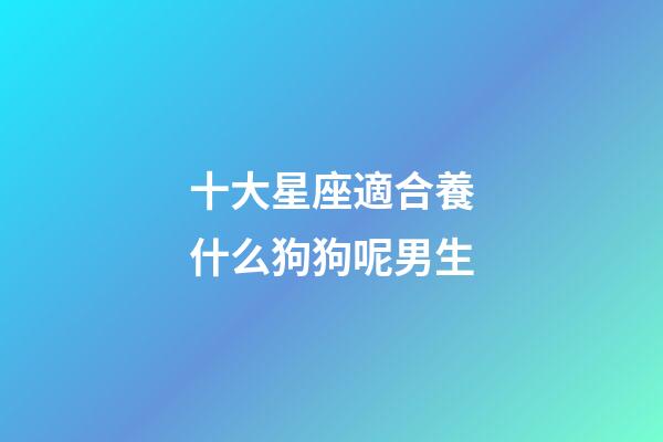 十大星座適合養什么狗狗呢男生-第1張-星座運勢-玄機派