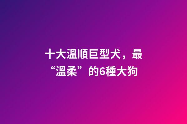 十大溫順巨型犬，最“溫柔”的6種大狗-第1張-觀點-玄機派