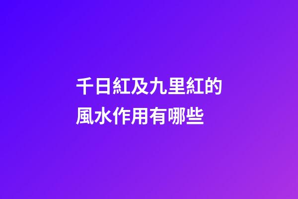 千日紅及九里紅的風水作用有哪些?
