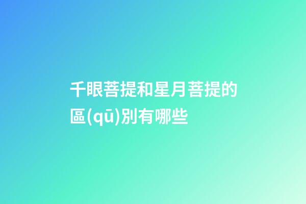 千眼菩提和星月菩提的區(qū)別有哪些