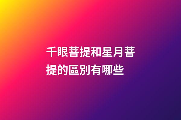 千眼菩提和星月菩提的區別有哪些