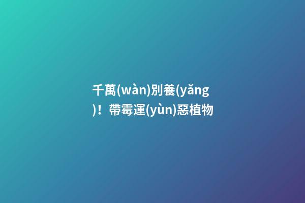 千萬(wàn)別養(yǎng)！帶霉運(yùn)惡植物