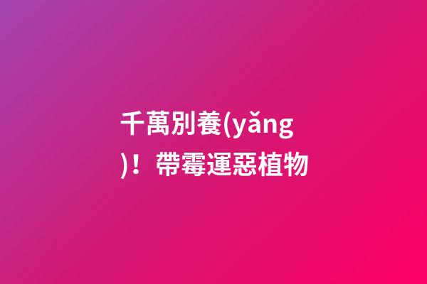 千萬別養(yǎng)！帶霉運惡植物