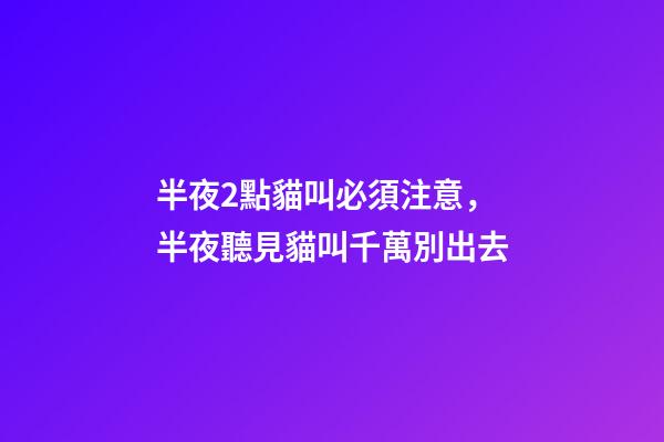 半夜2點貓叫必須注意，半夜聽見貓叫千萬別出去-第1張-觀點-玄機派