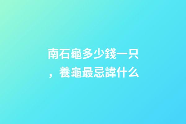 南石龜多少錢一只，養龜最忌諱什么-第1張-觀點-玄機派