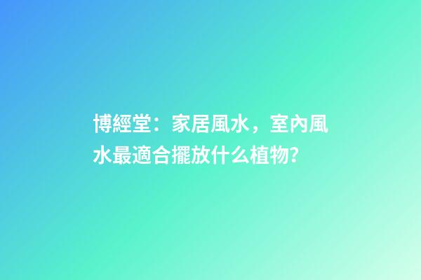 博經堂：家居風水，室內風水最適合擺放什么植物？