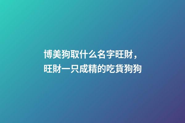 博美狗取什么名字旺財，旺財一只成精的吃貨狗狗-第1張-觀點-玄機派
