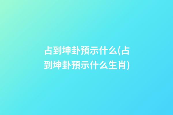 占到坤卦預示什么(占到坤卦預示什么生肖)