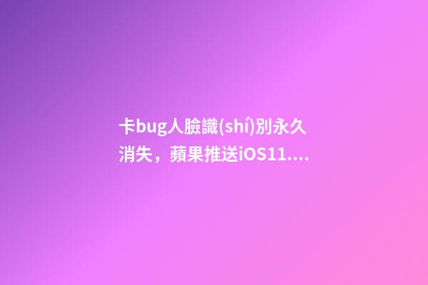 卡bug人臉識(shí)別永久消失，蘋果推送iOS11.2再曝新bug-第1張-觀點(diǎn)-玄機(jī)派